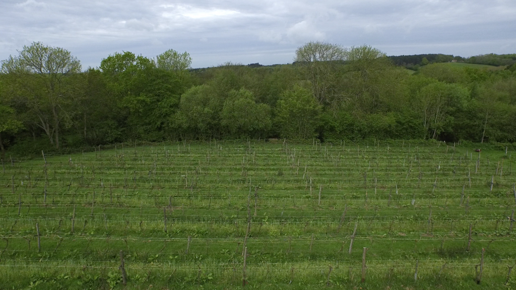 Sedlescombe